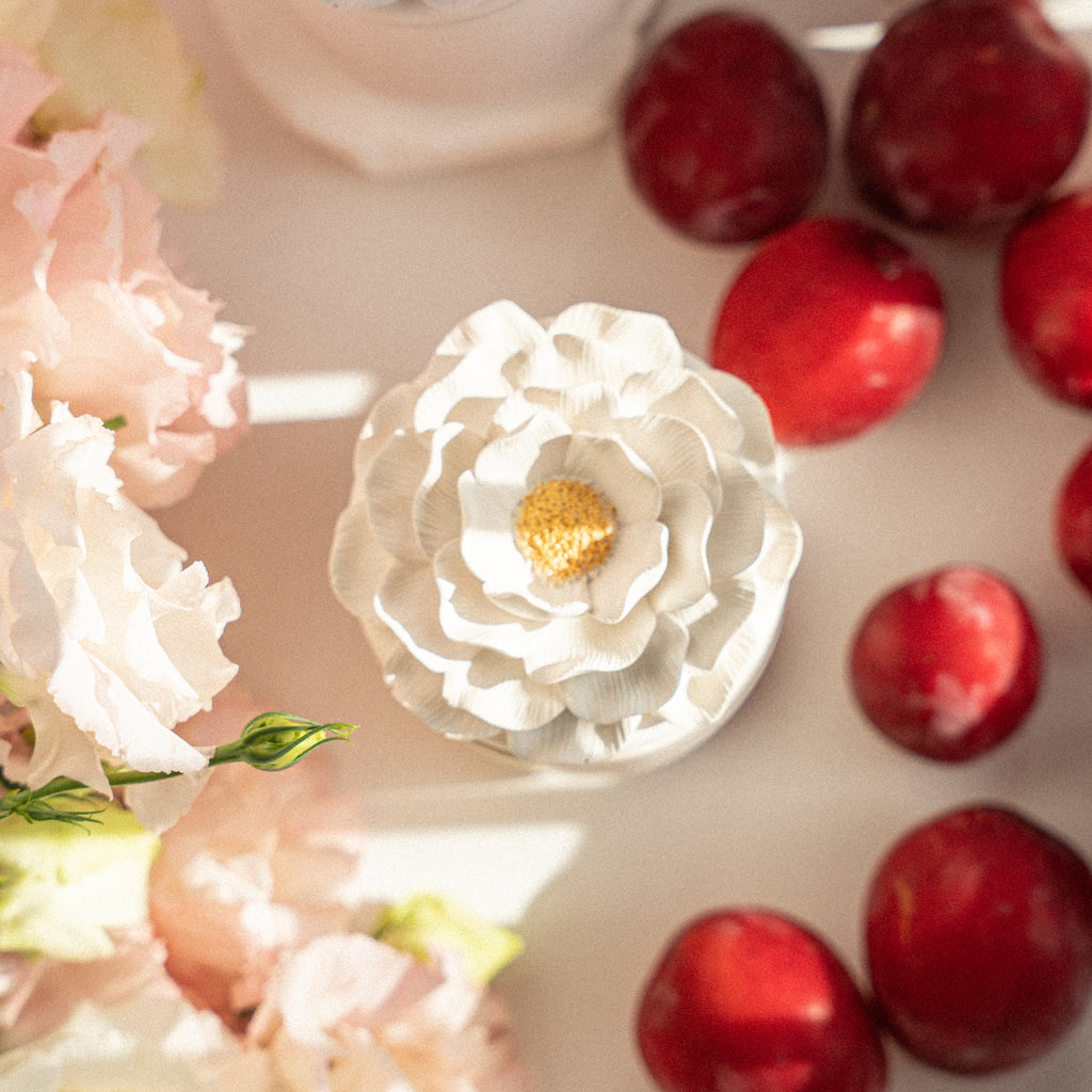 Soy wax candle with Cashmere Plum fragrance in handmade Camelia jar