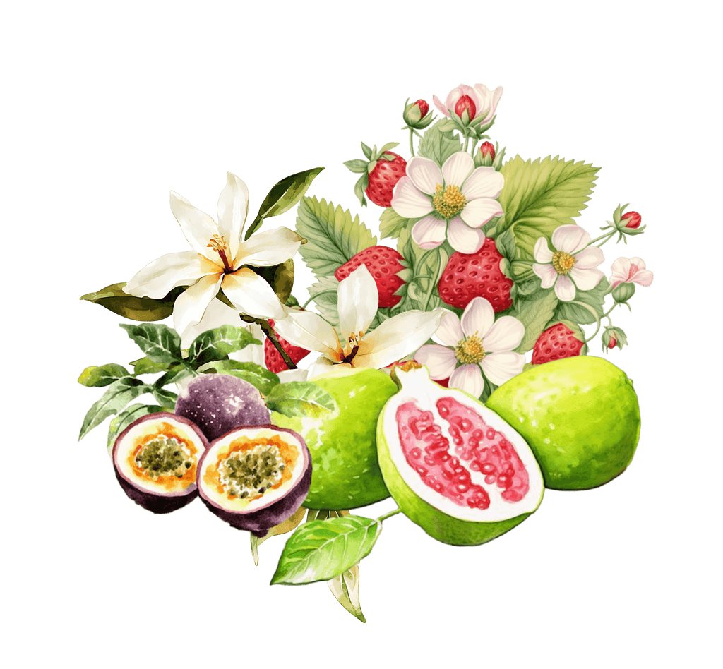 Strawberry Guava fragrance oil for handmade clean-scent candles by Lilele Studio